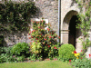 Late Spring at Trinity click to enlarge