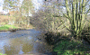 R Clun at Waterloo click to enlarge